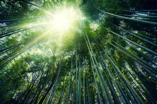 220794 (a): :2560x1696